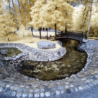 dpp_0064_