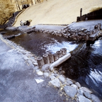 dpp_0074_