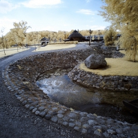 dpp_0080_