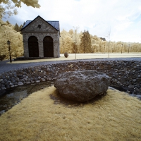 dpp_0081_
