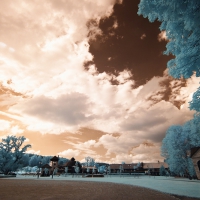 dpp_0094_