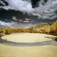 dpp_0101_