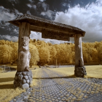 dpp_0102_